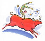 Taurus Acrobat